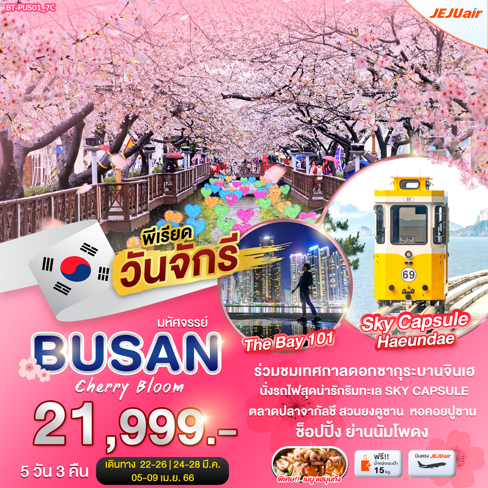 มหัศจรรย์...BUSAN CHEERY BLOOM